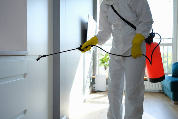 Professional Mold Removal in Niles, MI