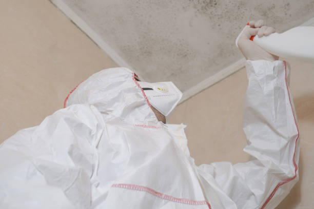 Best Office Mold Removal Services  in Niles, MI